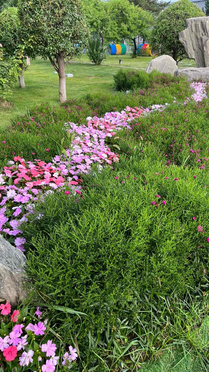 walking near me in 龙城公园 in winter