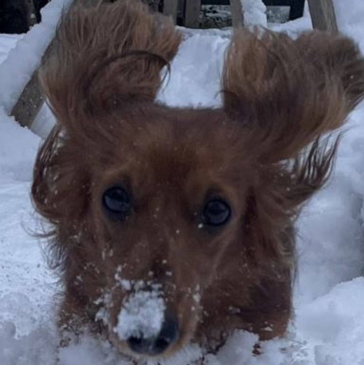 Tanja👩🏻‍❤️‍💋‍👨🏼🦮🐕‍🦺