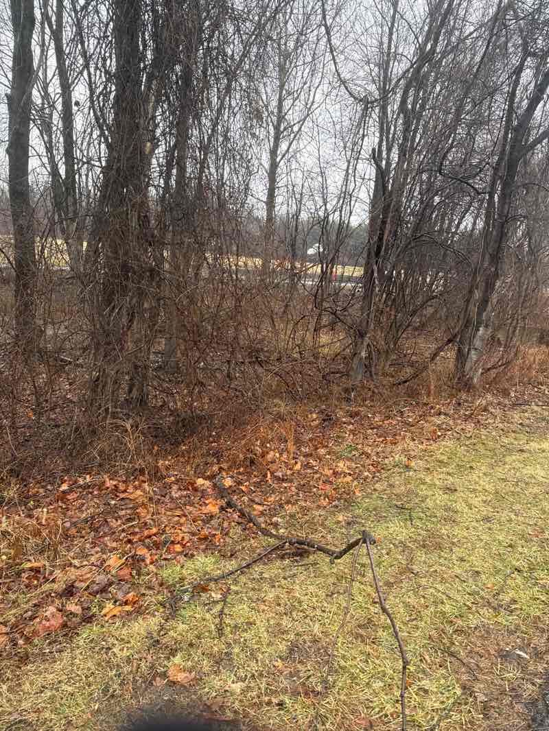 walking near me in Largo-Lottsford Park in winter