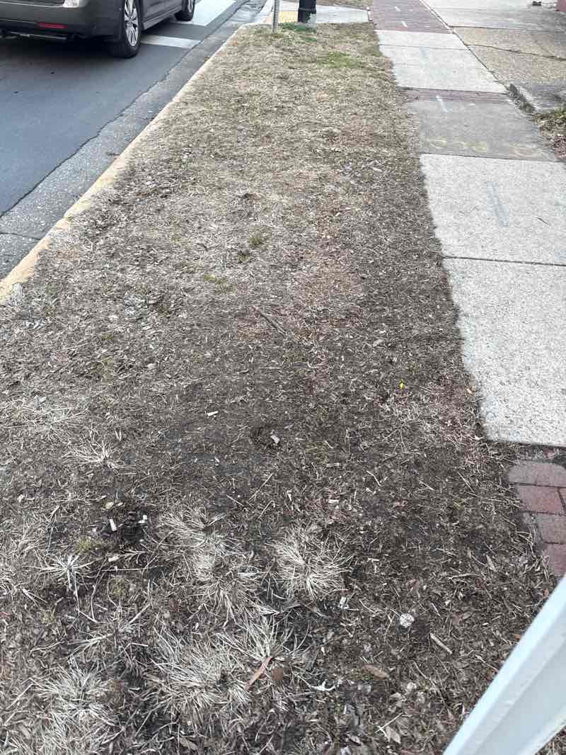walking near me in Riverdale Neighborhood Playground in winter