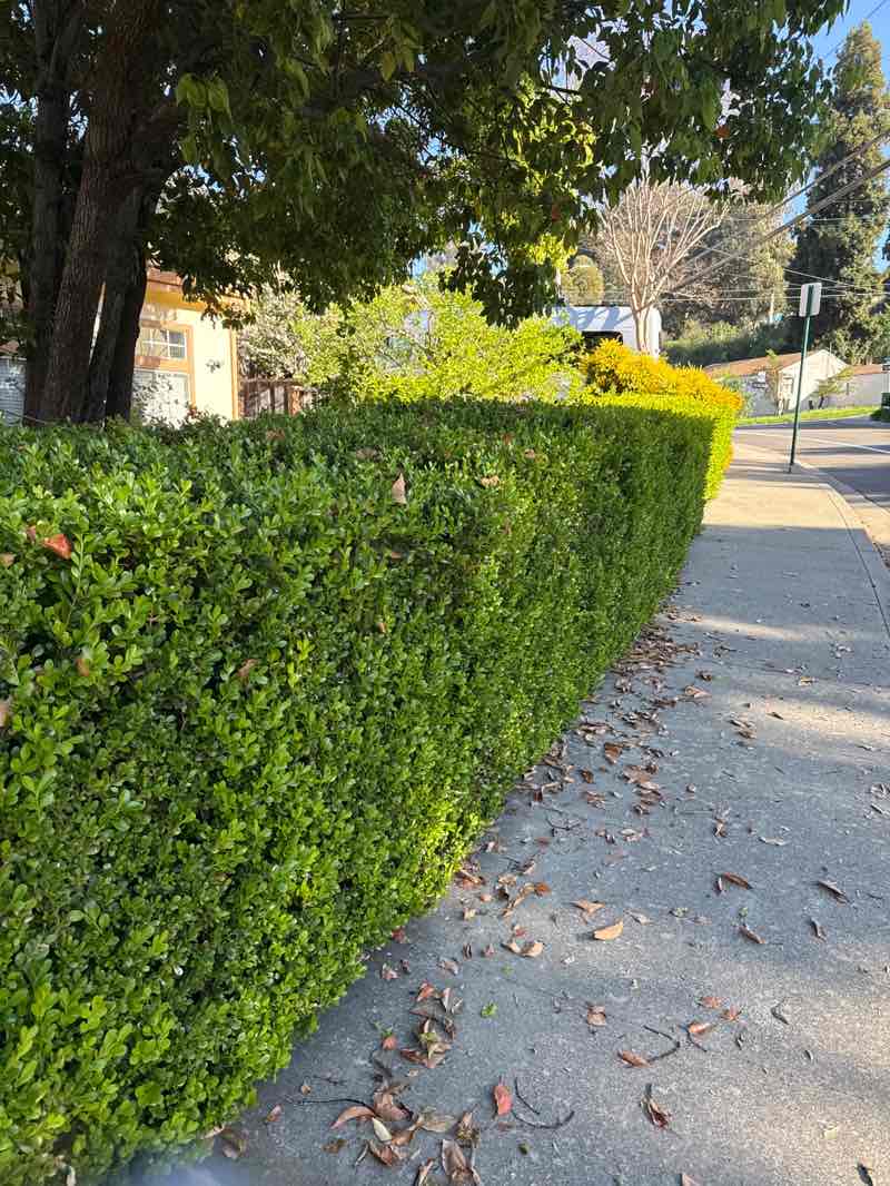 walking near me in College Heights in spring