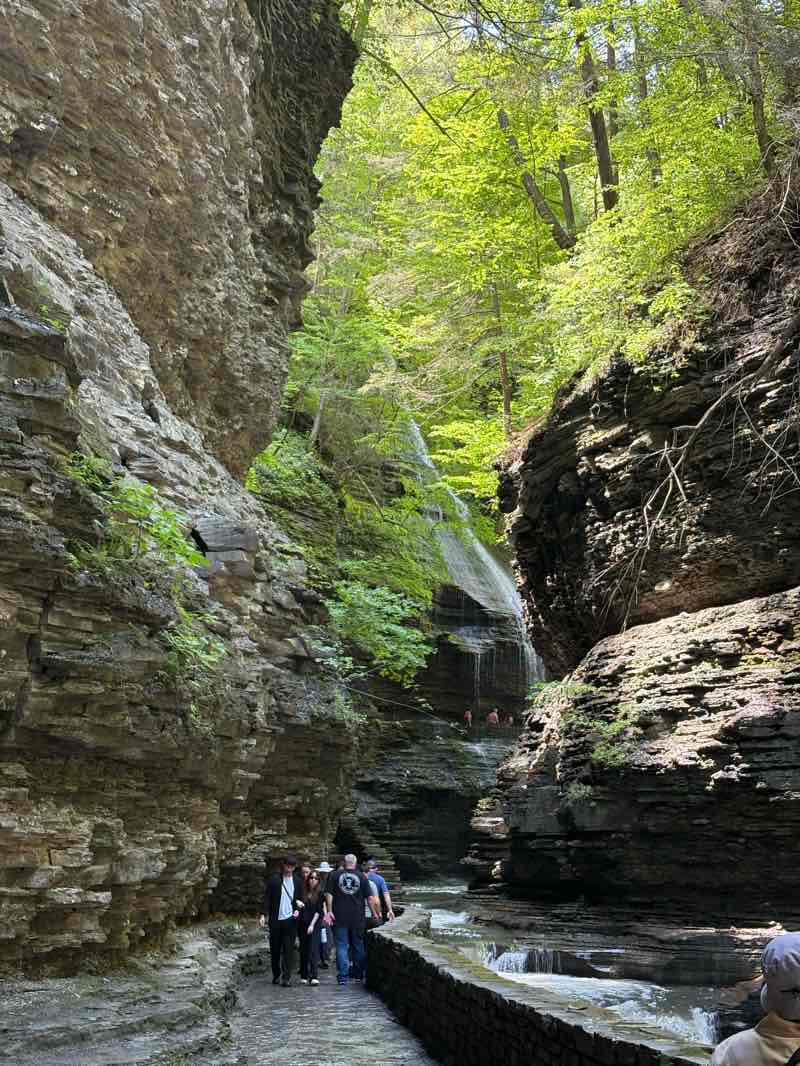 walking near me in Lafayette Park in spring