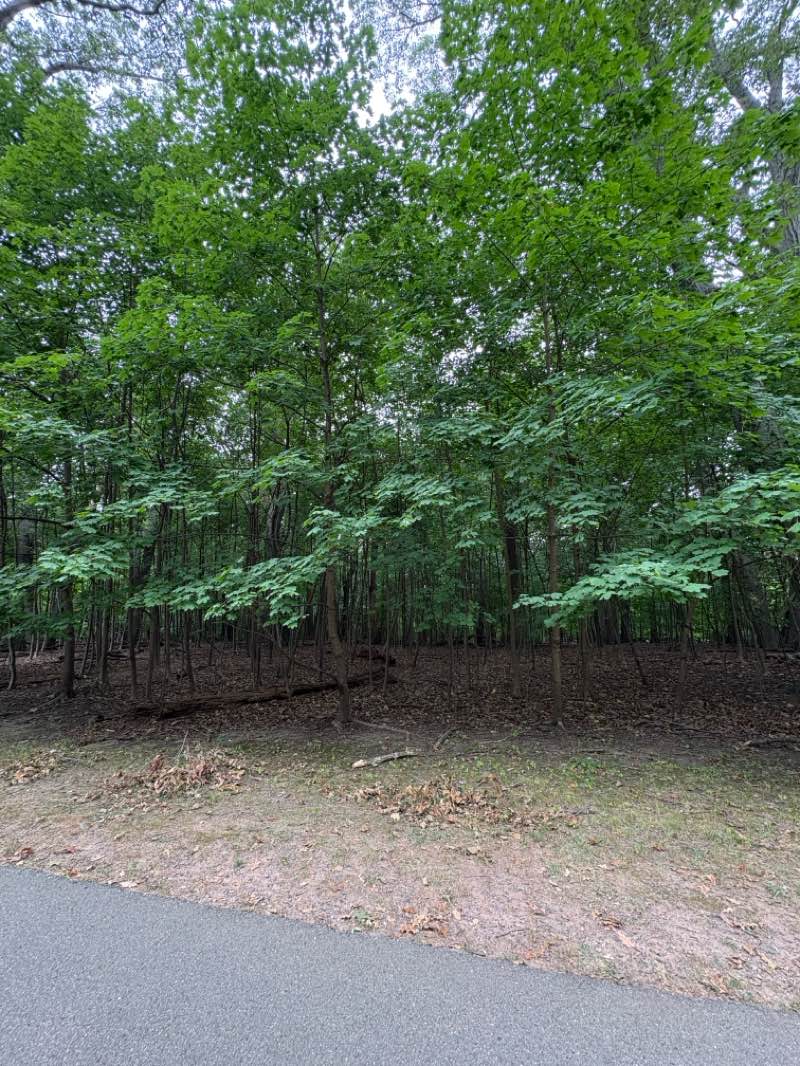 walking near me in Brookdale Park in autumn