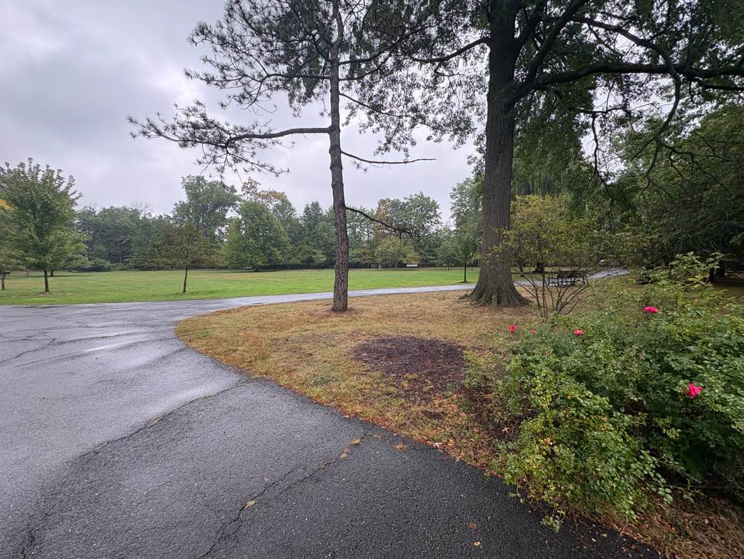 walking near me in Anderson Park in autumn