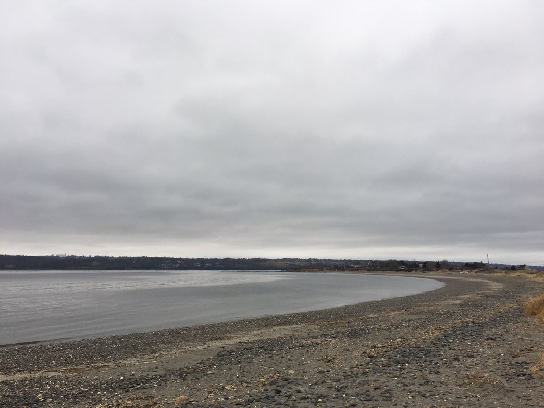walking near me in Fogland Beach Conservation Area in winter