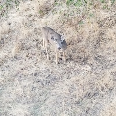 Gabriel Garcia post 3