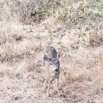 Gabriel Garcia post 2