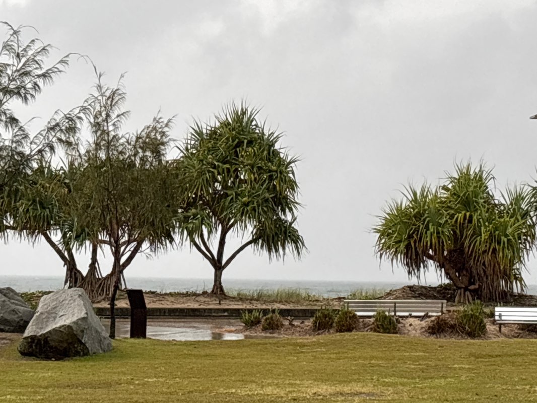 walking near me in Rowan Robinson Park in spring