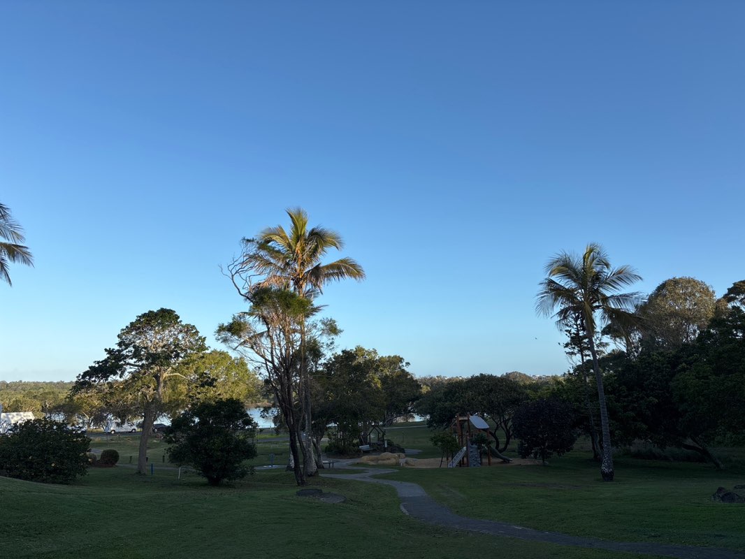 walking near me in Jack Julius Park in spring