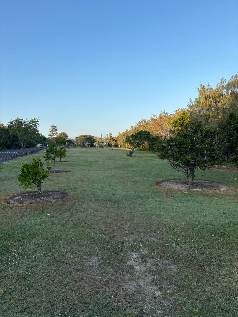 walking near me in Cudgen Creek Headland in spring