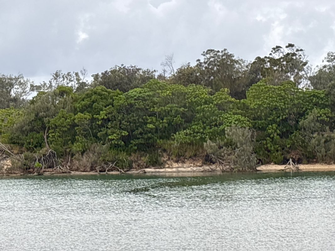 walking near me in Cudgen Creek Headland in summer