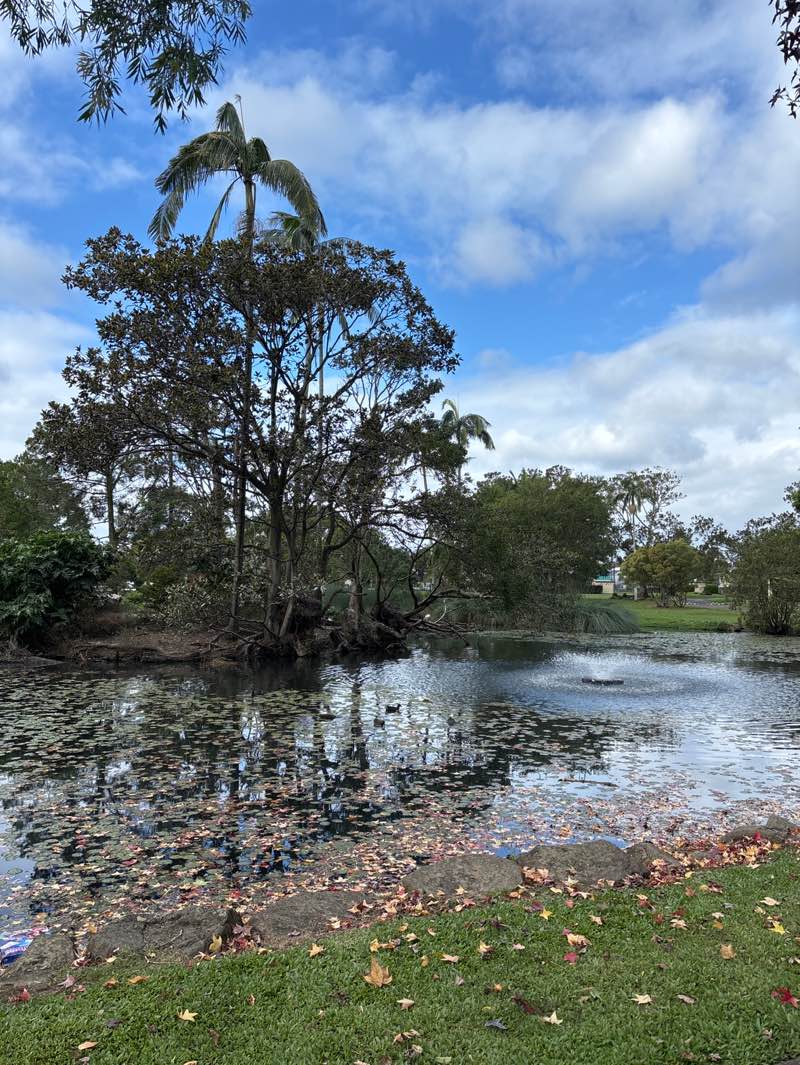 walking near me in Knox Park in winter