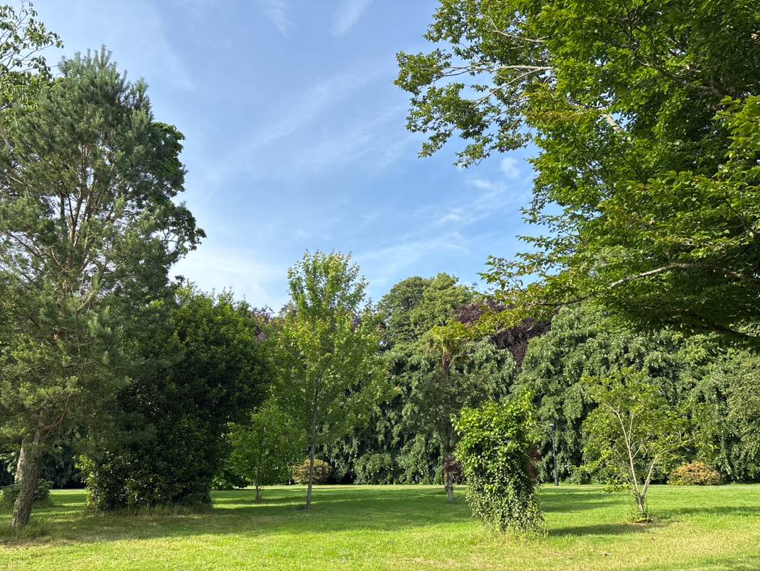walking near me in Killarney House in summer
