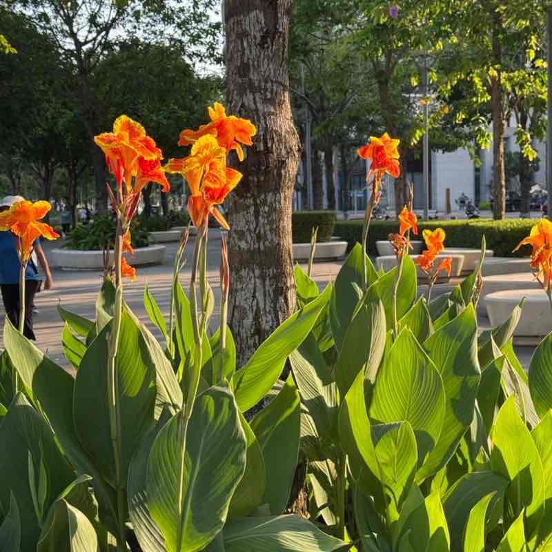 Hương Thuỷ post 3