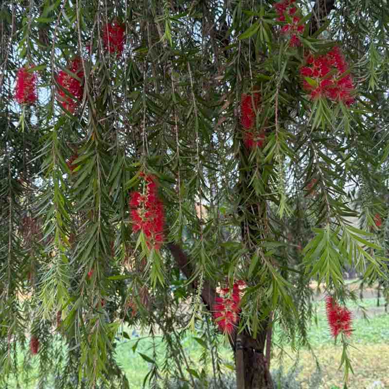 Hương Thuỷ post 2