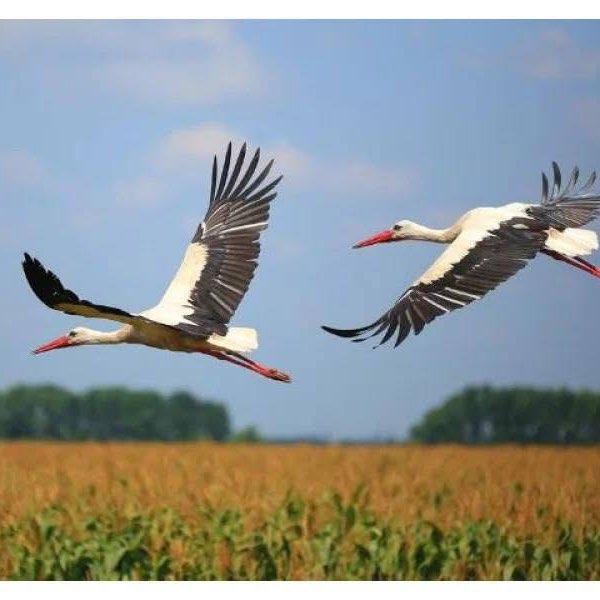 Hương Thuỷ post 2