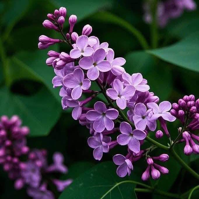 Hương Thuỷ post 2