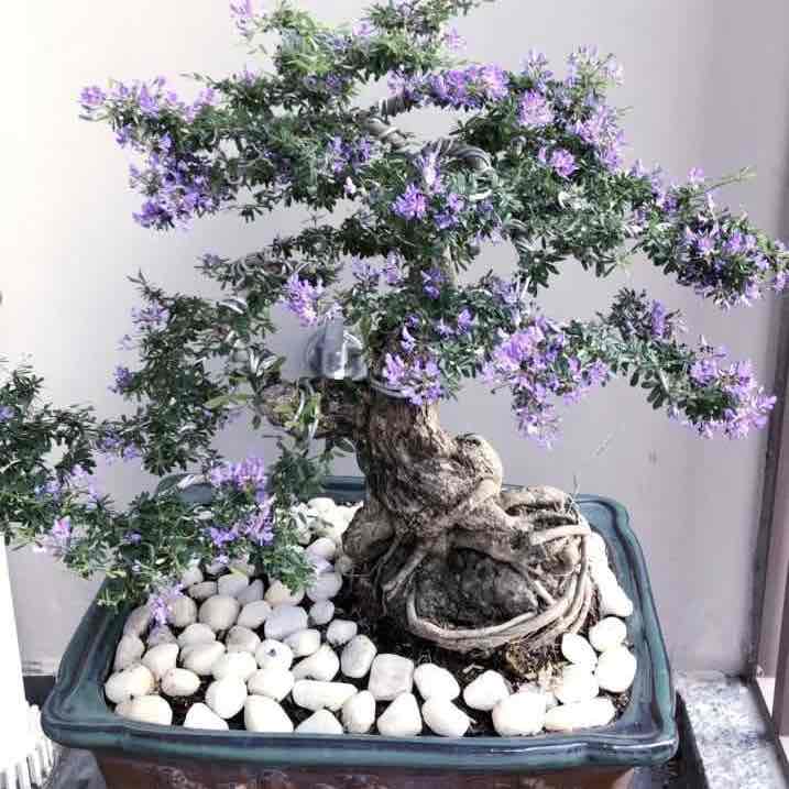 Hương Thuỷ post 2