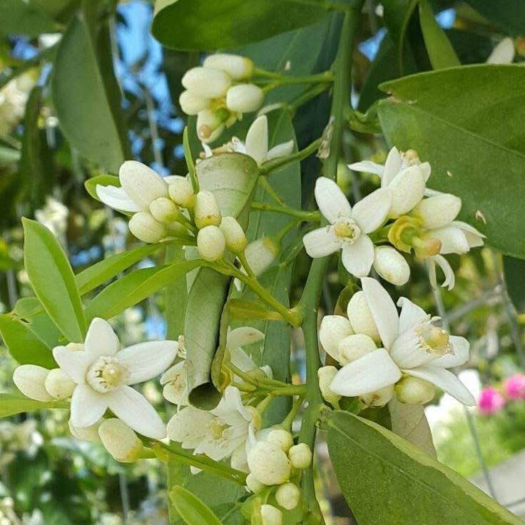 Hương Thuỷ post 3