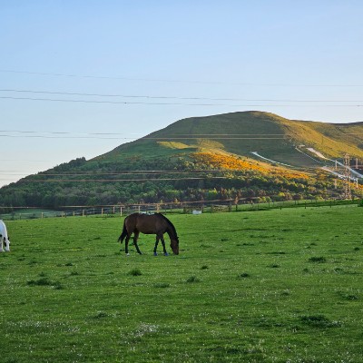 anurag_guleria post 2