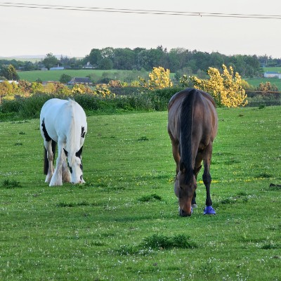 anurag_guleria post 1