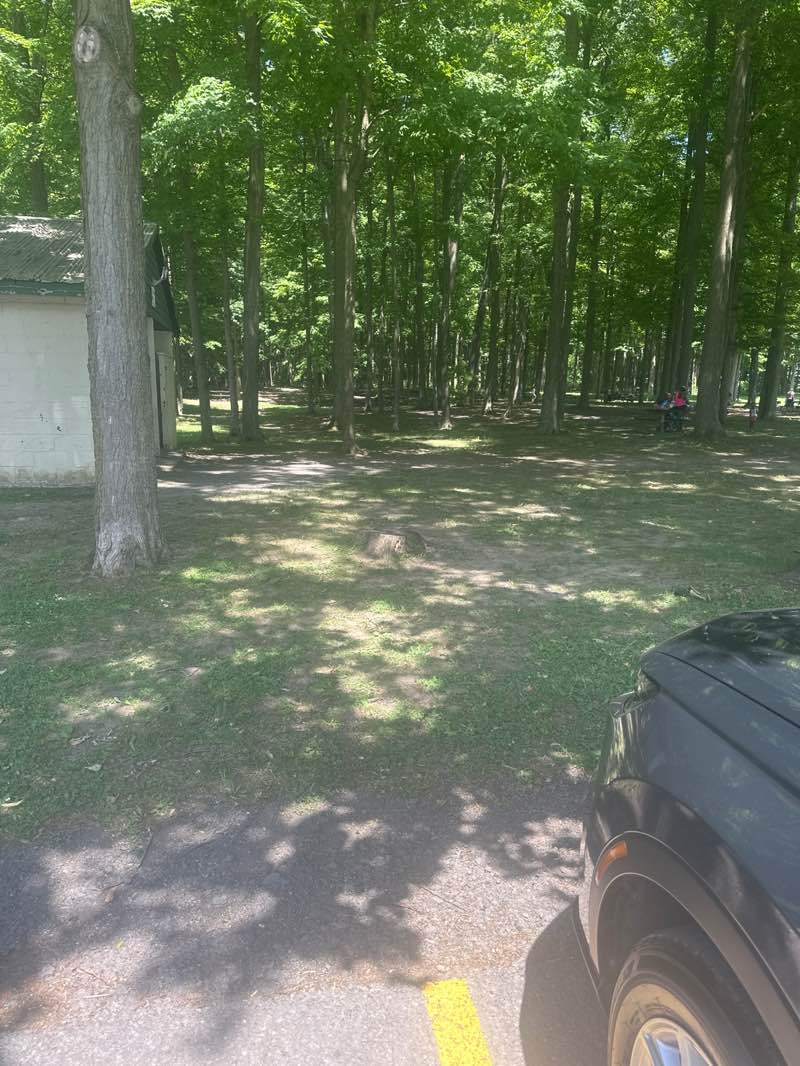 walking near me in Camillus Park in summer