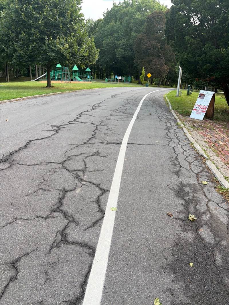 walking near me in Thornden Park in summer