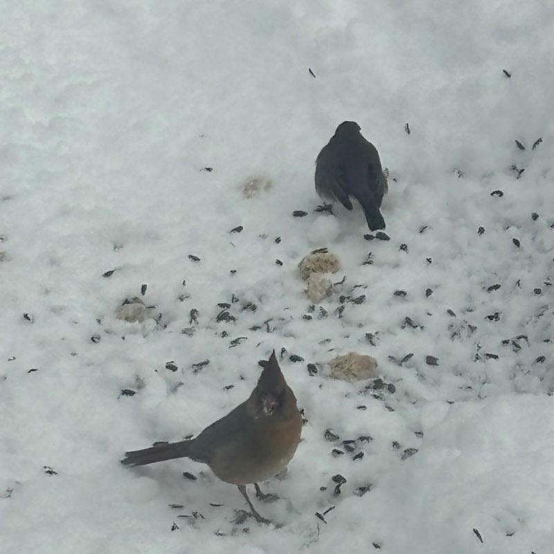 marymary😎🌞🍀🏀 ⚾️ post 2