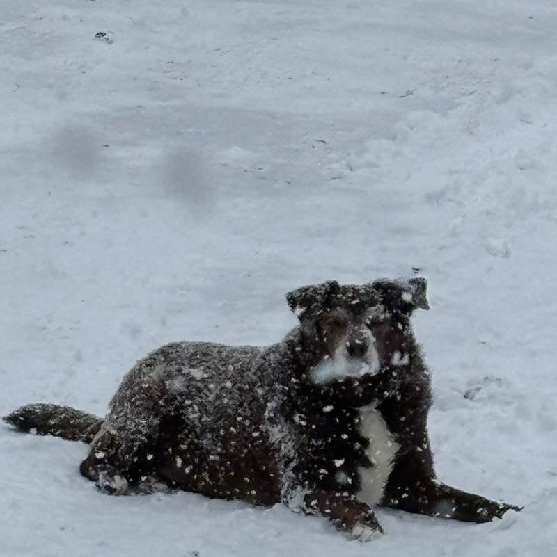 marymary😎🌞🍀🏀 ⚾️ post 3