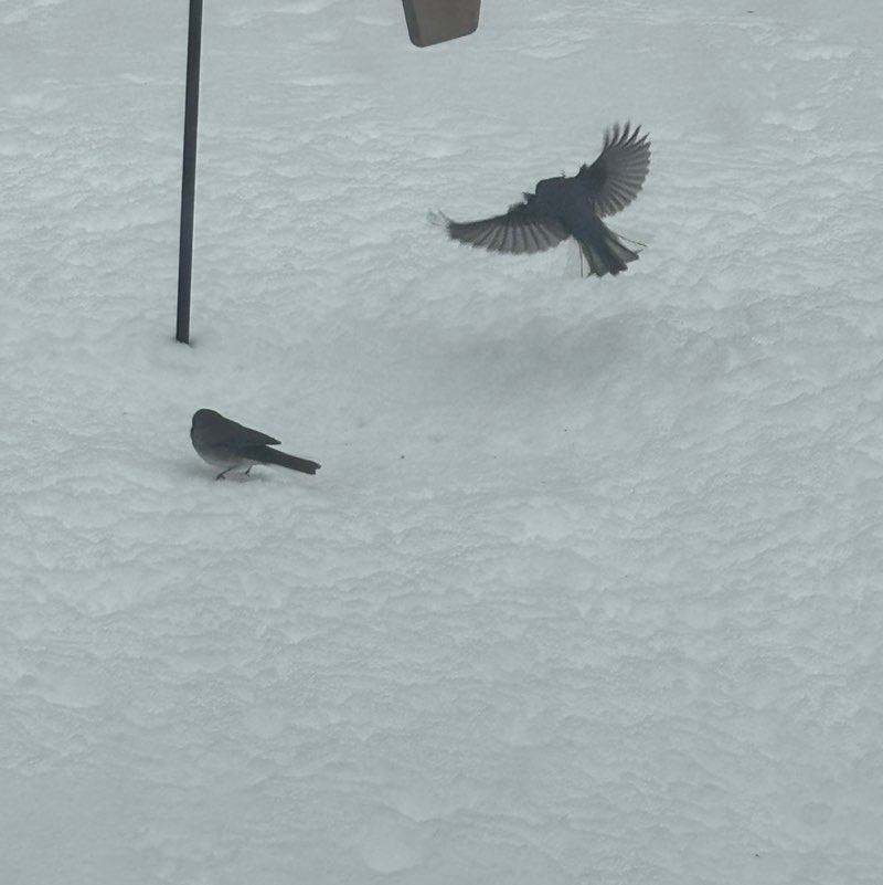 marymary😎🌞🍀🏀 ⚾️ post 3