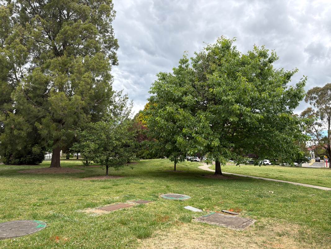 walking near me in Lions Park in spring