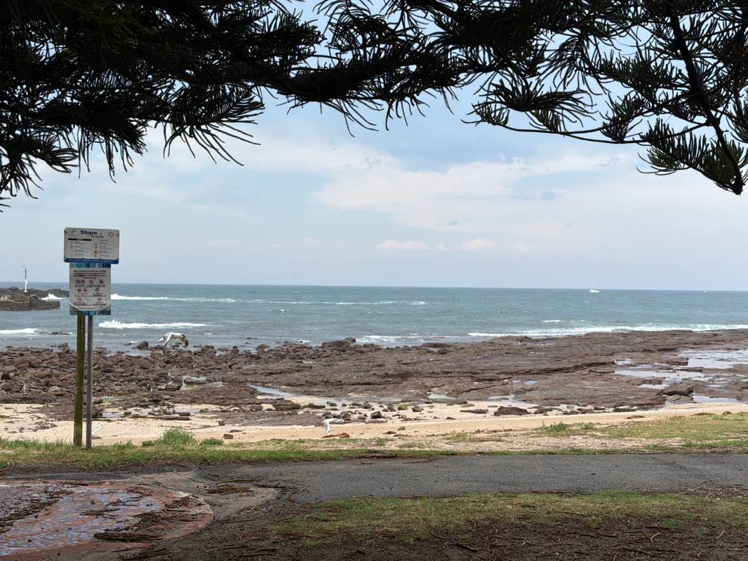 walking near me in Little Park in spring