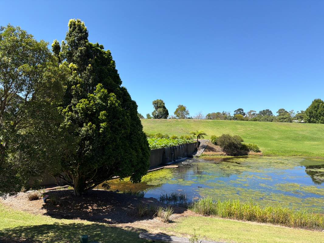 walking near me in Mt Penang Parklands in summer