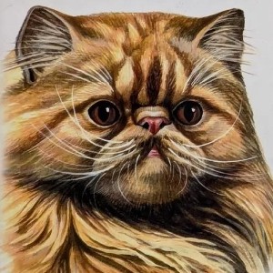 Андрей profile