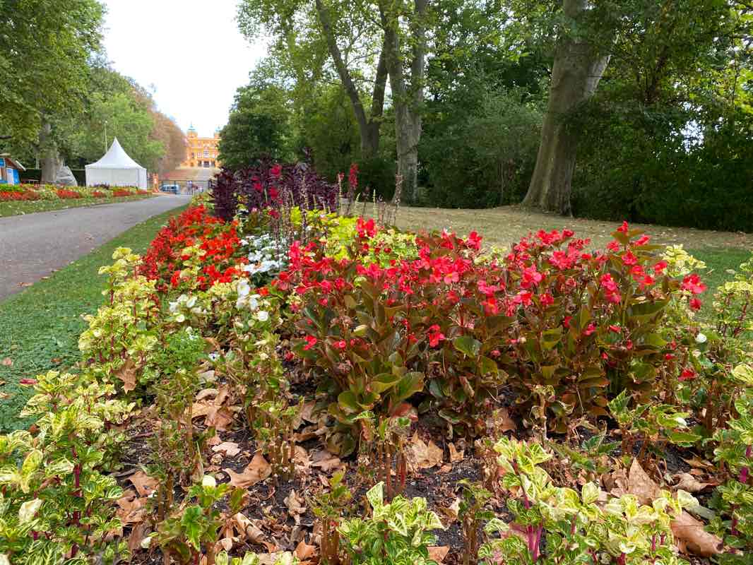walking near me in Blühendes Barock in winter
