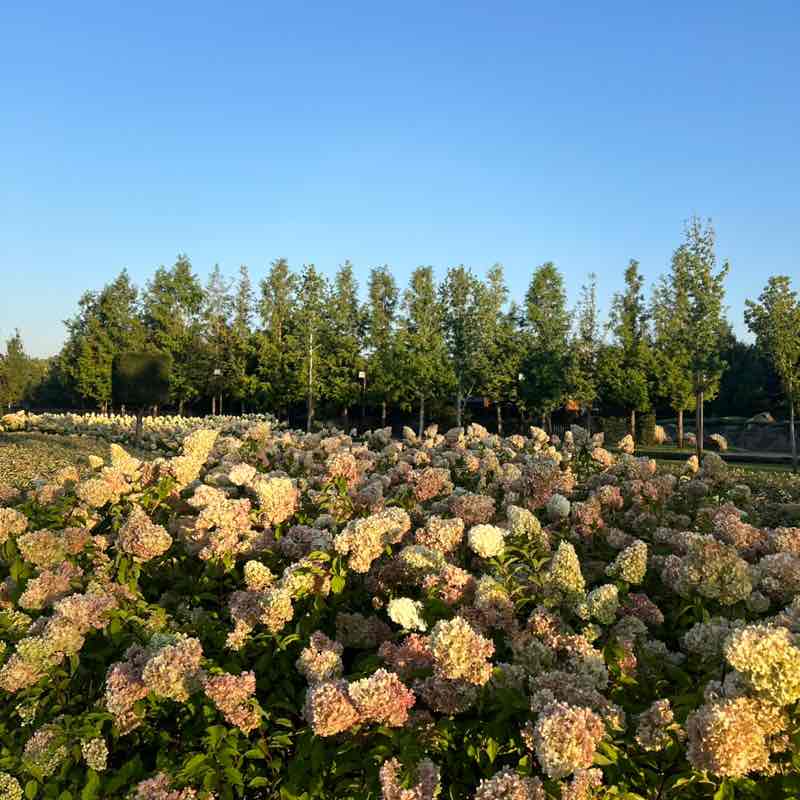 Екатерина post 3