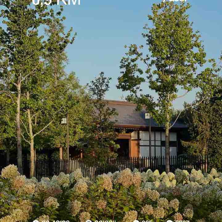 Екатерина post 1