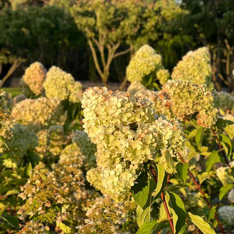 Екатерина post 2