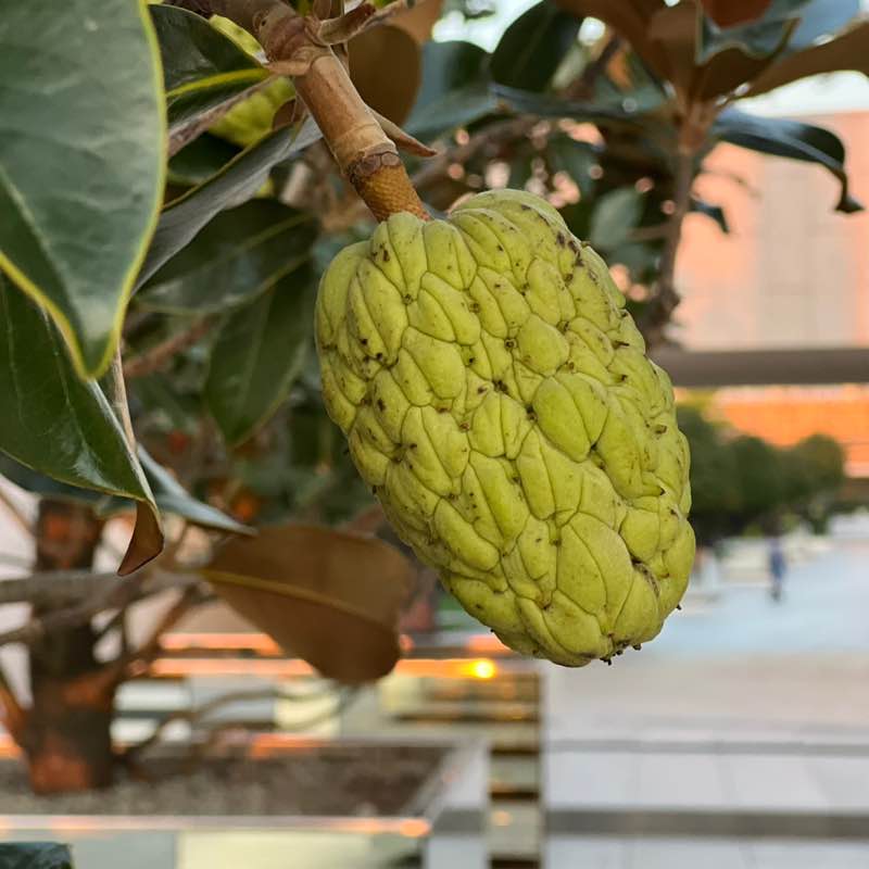 Екатерина post 3