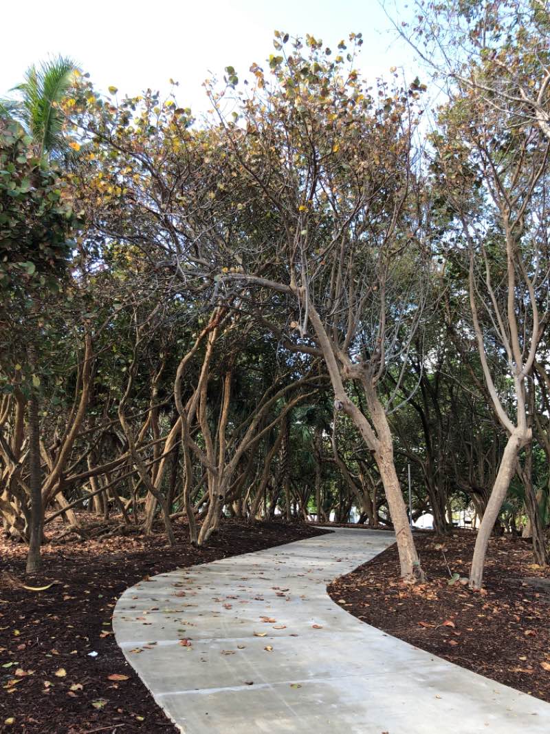 walking near me in North Shore Park & Youth Center in winter