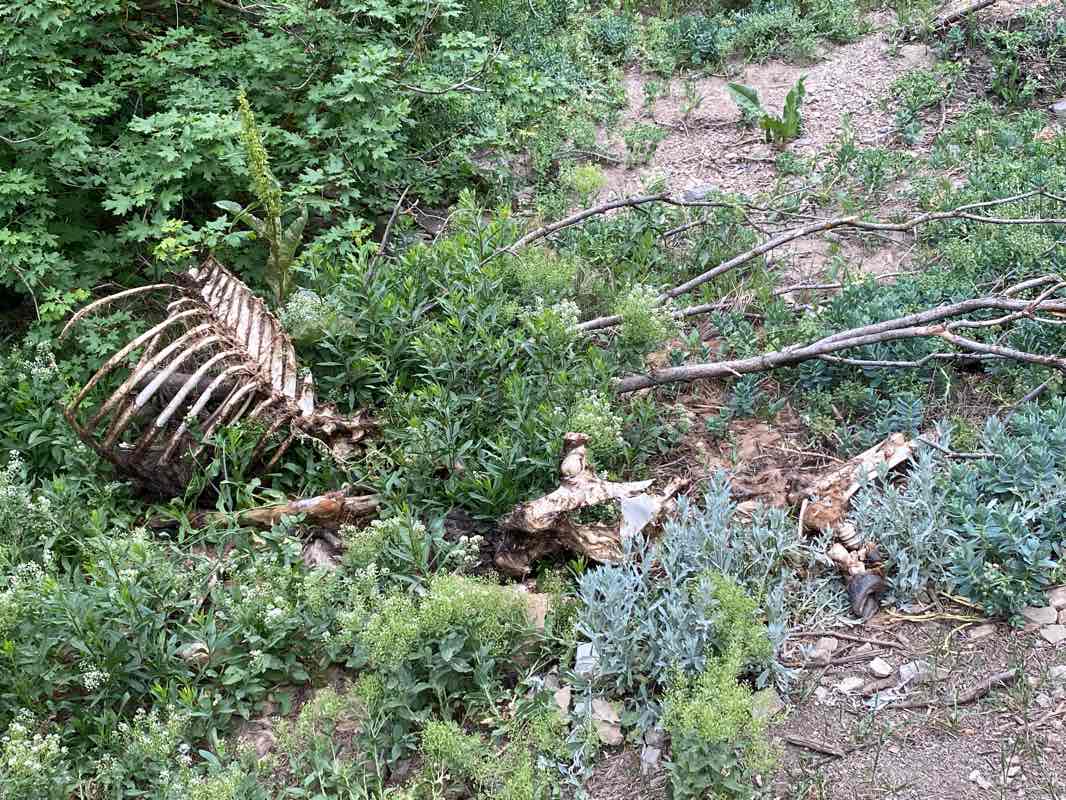 walking near me in Reservoir Park in winter
