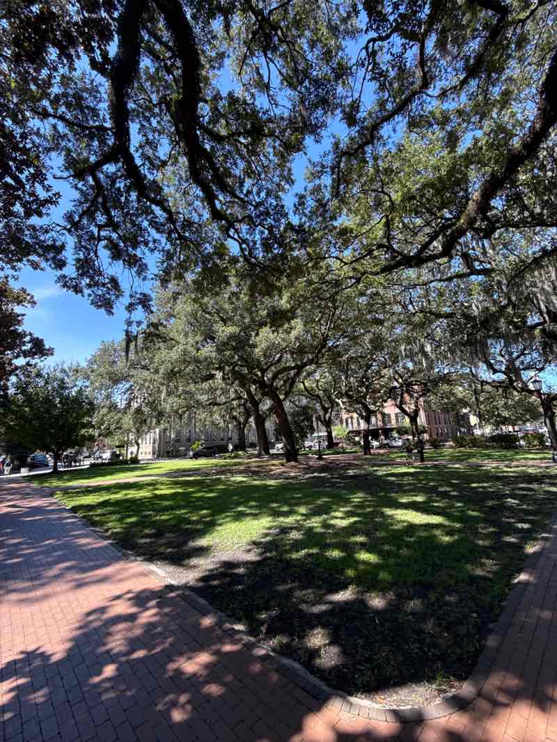 walking near me in Oglethorpe Square in autumn