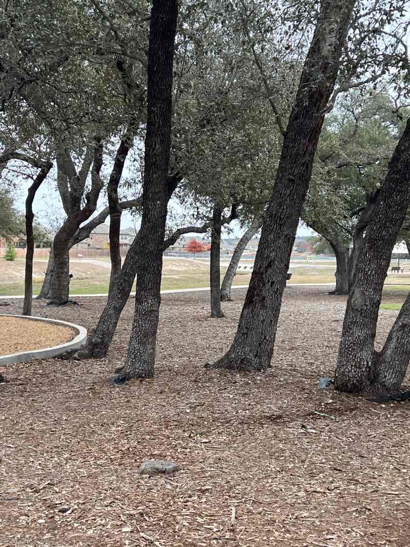 walking near me in Mason Hills in winter