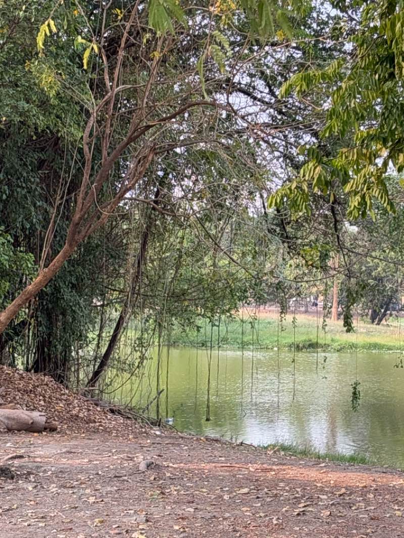 walking near me in Navanakorn grand park in winter