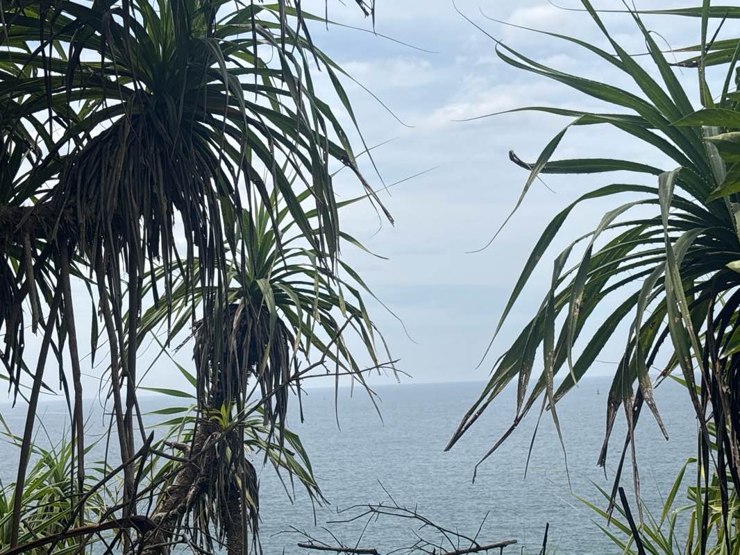walking near me in Dharmapala Park in winter