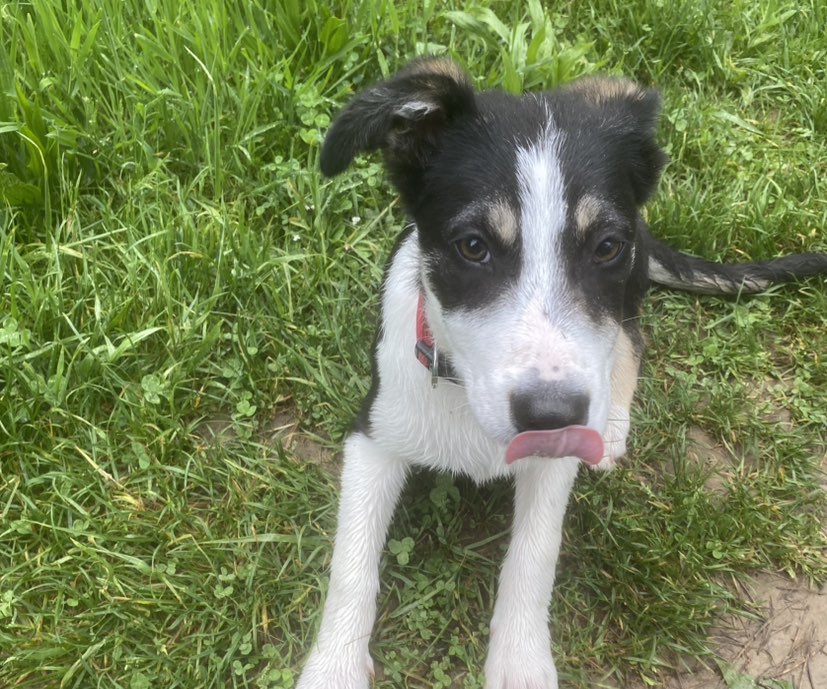 lili👀❣profitez de chaque instant de la vie profile