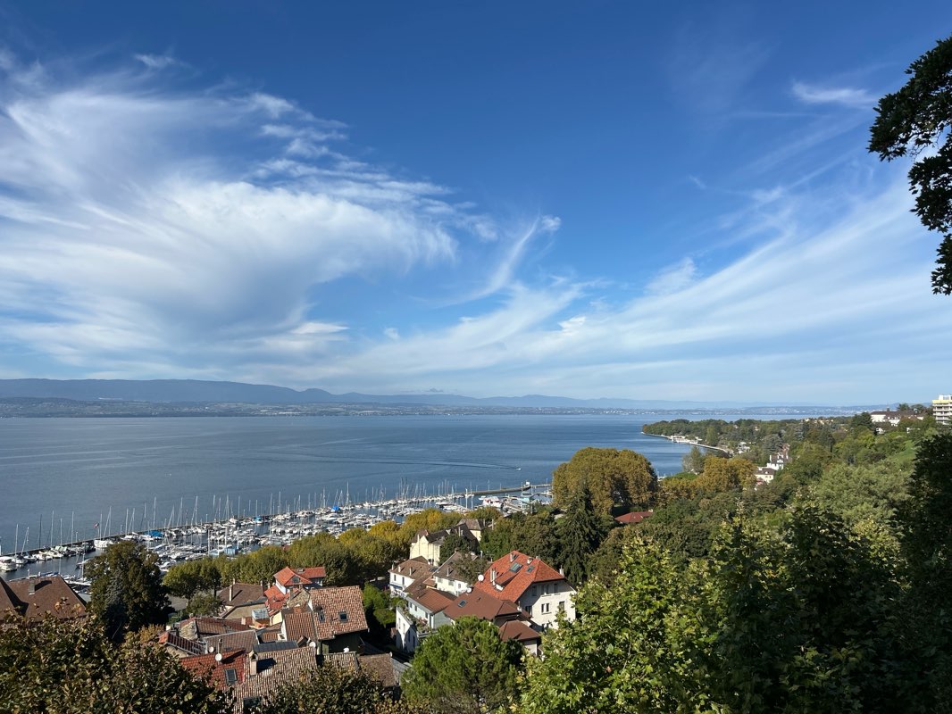 walking near me in Parc du Belvédère in autumn