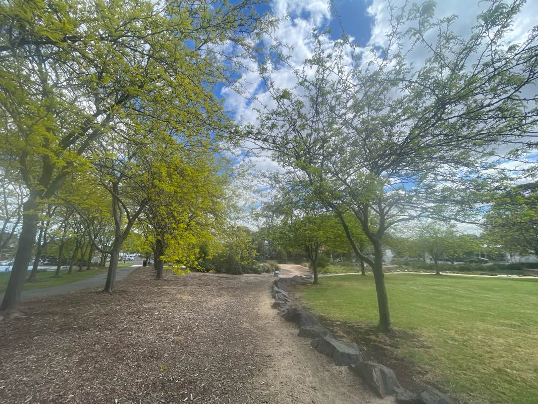 walking near me in Anglesea Bushland Reserve in spring