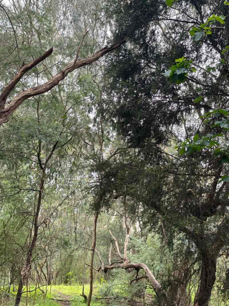 walking near me in All Nations Park in spring