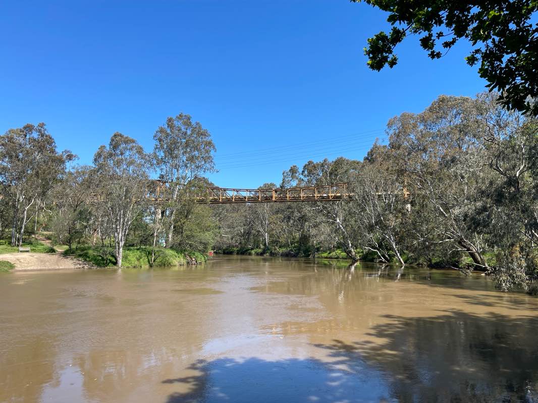 walking near me in Yarra Bend Park in summer